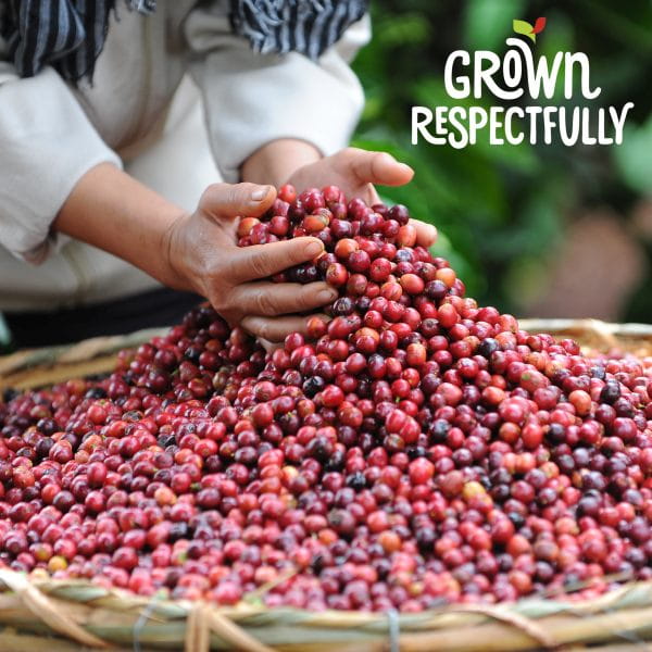 NESCAFE DOLCE GUSTO Latte Macchiato Caramel 16 kap